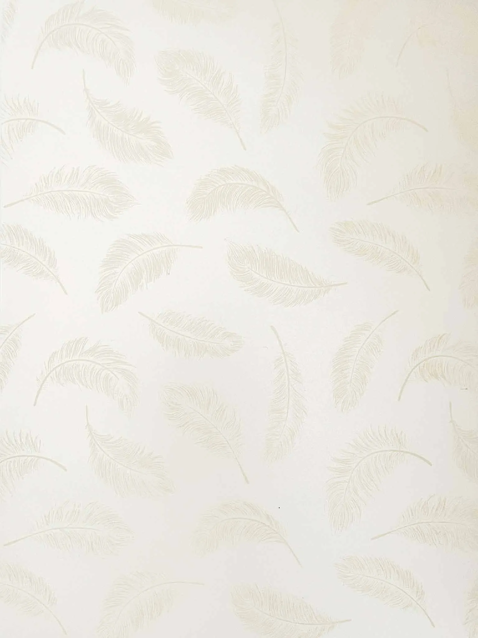Feathers Paper in Ivory