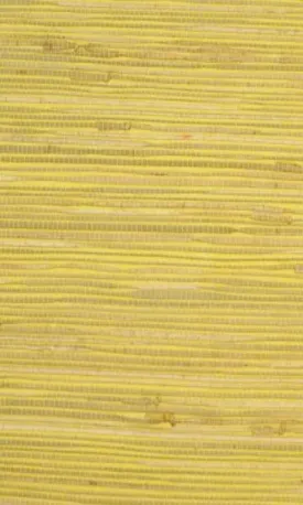 Grasscloth  Kapok Wallpaper GPW13-1003